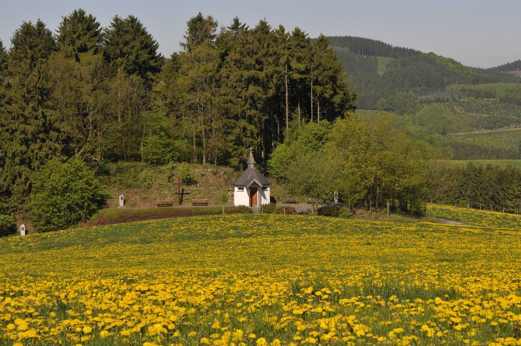 Отель Wuellner'S Landgasthof Шмалленберг Экстерьер фото